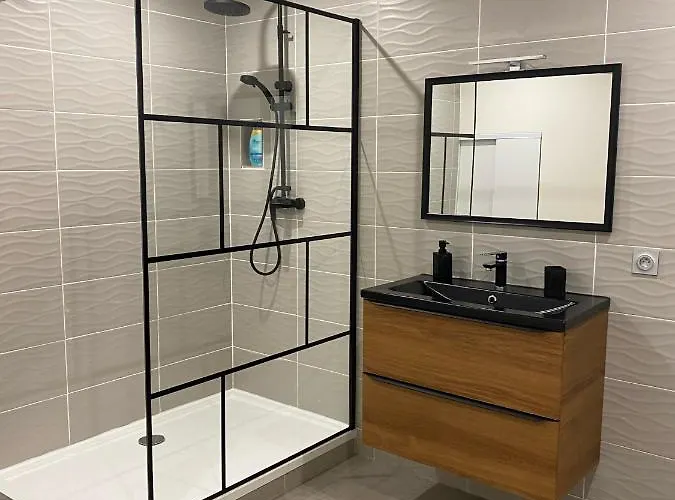 Maison Face à La Cité * Carcassonne